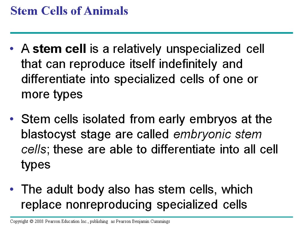 Stem Cells of Animals A stem cell is a relatively unspecialized cell that can